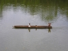 La canoa