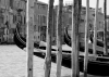 Venecia - puerto de palos