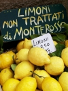 Limones de monterosso