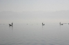Pescadores del lago inle