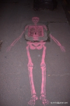 Esqueleto curioso calles paris