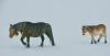 Animales en la nieve