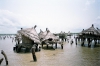 Iles au coquillage - senegal