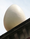 Un huevo en el tejado