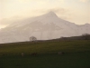 Larun nevado