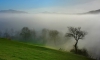 Niebla en los campos de urroz