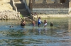 Refrescandose en el nilo