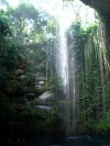 Cenote de la ribera maya