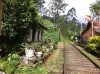 Un ferrocarril en la selva