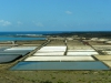 Salinas de janubio