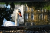El cisne y el reflejo