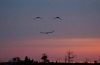 Sonrisas  en el cielo