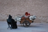 Vendedor en marrakech