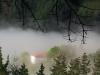 Entre niebla