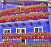 Balcones floridos hondarribia
