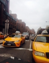 Taxis in manhattan