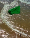 Bandera verde al verano....