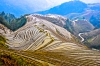Terrazas arrozales de china