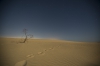 Luna llena en las dunas