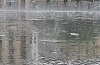 La plaza zuloaga bajo la lluvia