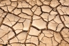 Tierra seca ( por falta de agua)