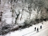 Caminando con el invierno