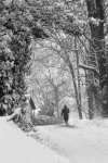 Caminando bajo la nieve