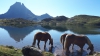 Caballos refrescndose en lac gentau