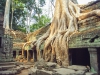 Templo de ta prohm en angkor
