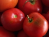 Abuztuko tomatea