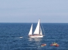 Un velero navegando en libertad por el cantbricopor el mar cantbrico