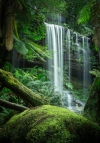 Rusell falls tasmanian