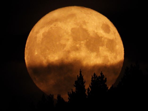 2022KO UZTAILEKO SUPER ILARGI BETEA