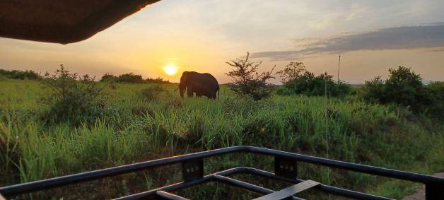 Amanecer en Uganda