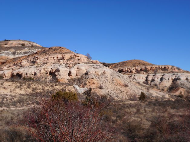 Aridez en la Bureba.