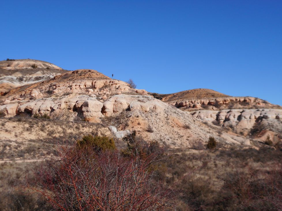 Aridez en la Bureba.