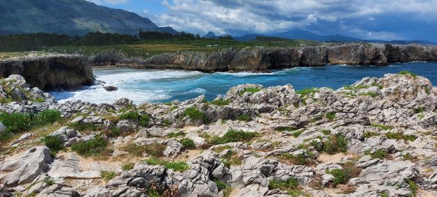 El artista y su arte