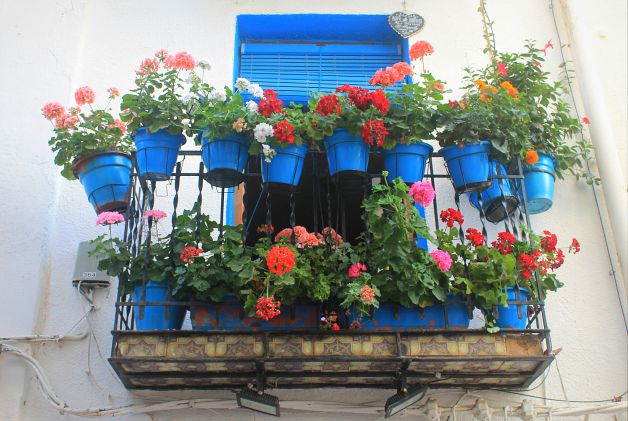 Balcón florido.