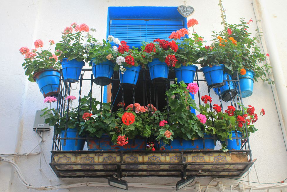 Balcón florido.