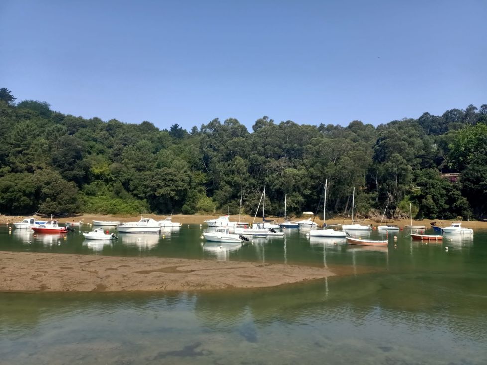 Barcas en la ría de Plentzia 