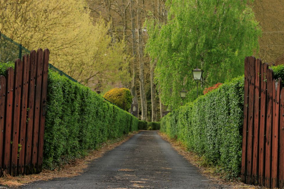 Bienvenidos a la naturaleza