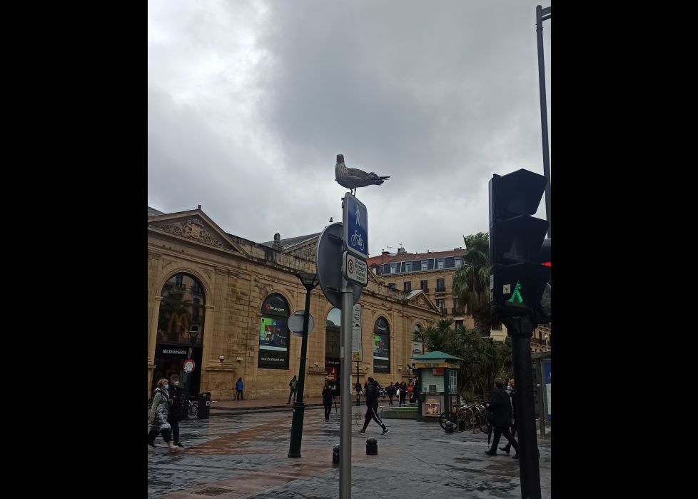 Bulebard donostiarra!!