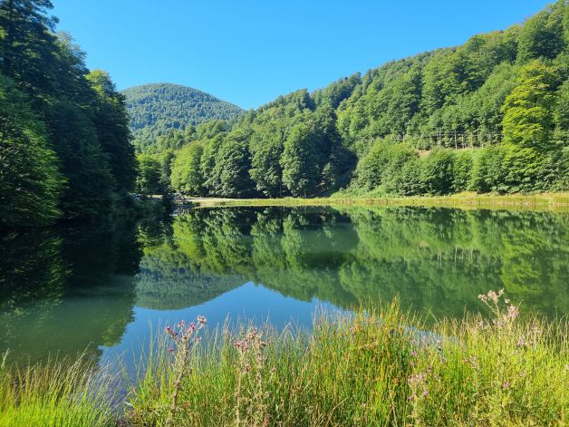 Camino a Bagargi (Behe Nafarroa)