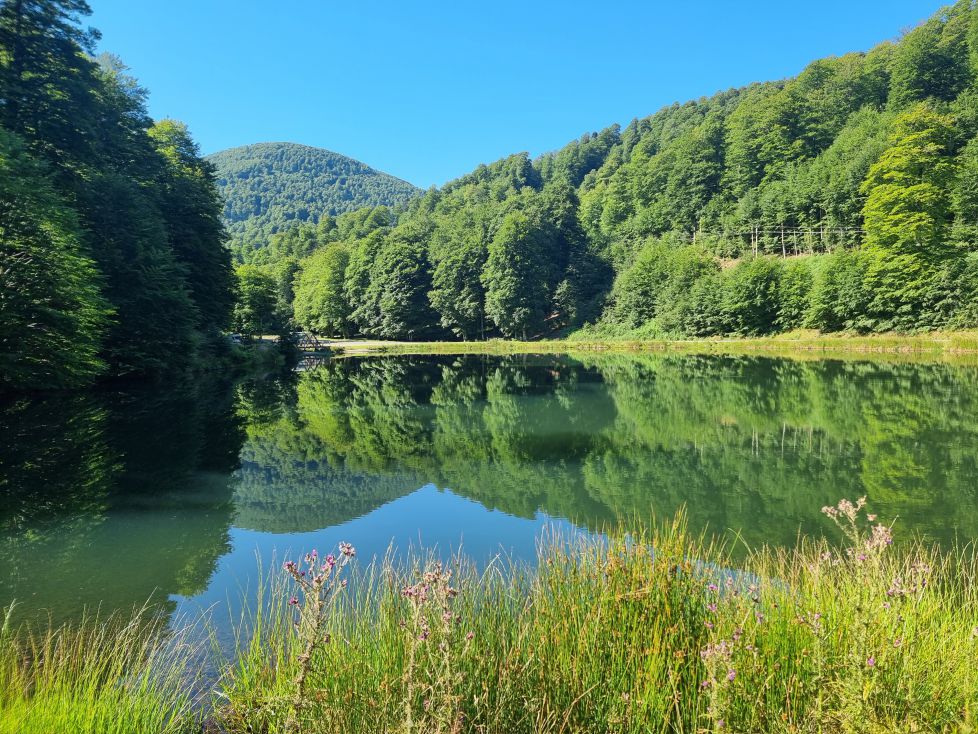 Camino a Bagargi (Behe Nafarroa)