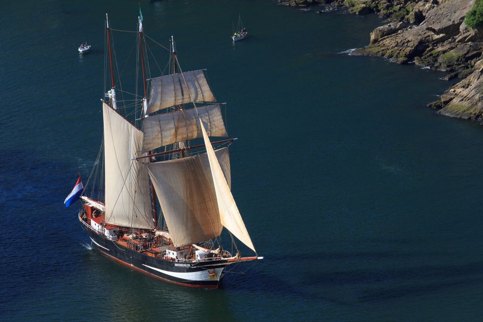 No corta el mar sino vuela...