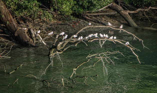 DE COTILLEO A LAS SIETE