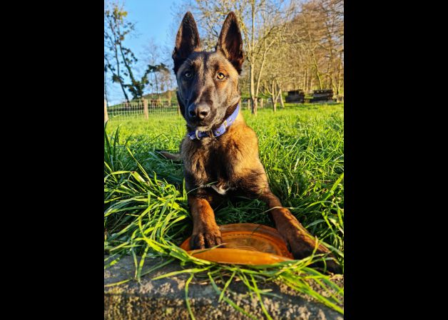 Dabi con su juguete preferido