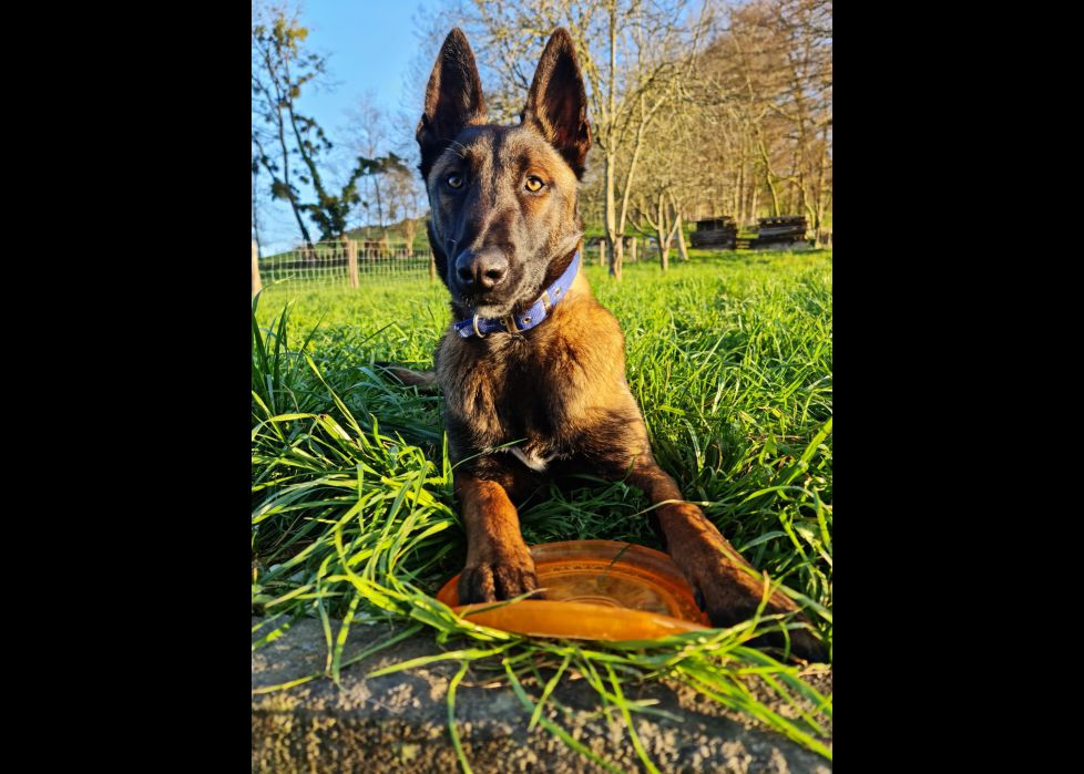 Dabi con su juguete preferido