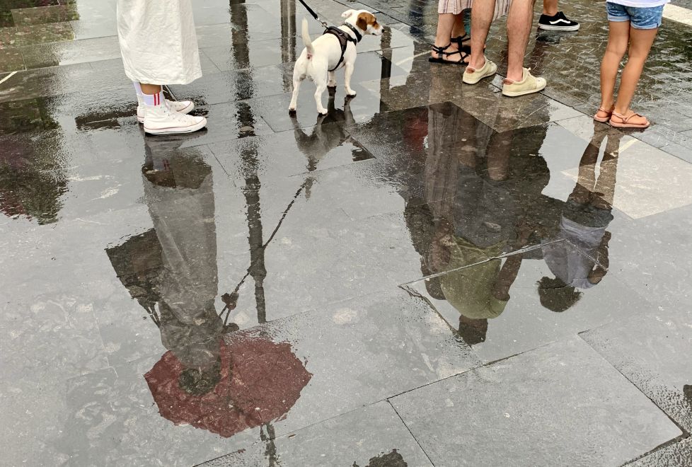 Día de lluvia en el Boulevard