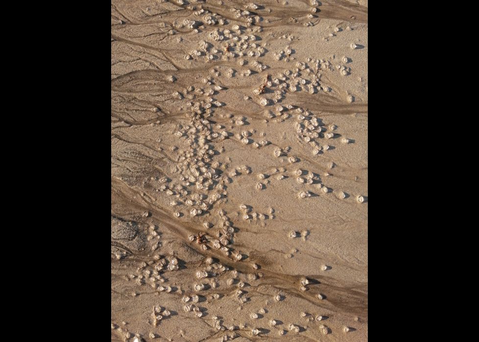 Diamantes en la arena 